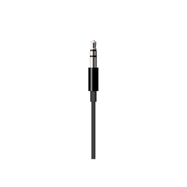 Apple Lightning to 3.5 mm Audio Cable 2
