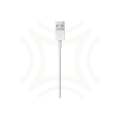 Apple Lightning to USB Cable 4