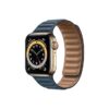 Apple Watch Series 6 42MM Gold Stainless Steel GPS Cellular Leather Link Baltic Blue