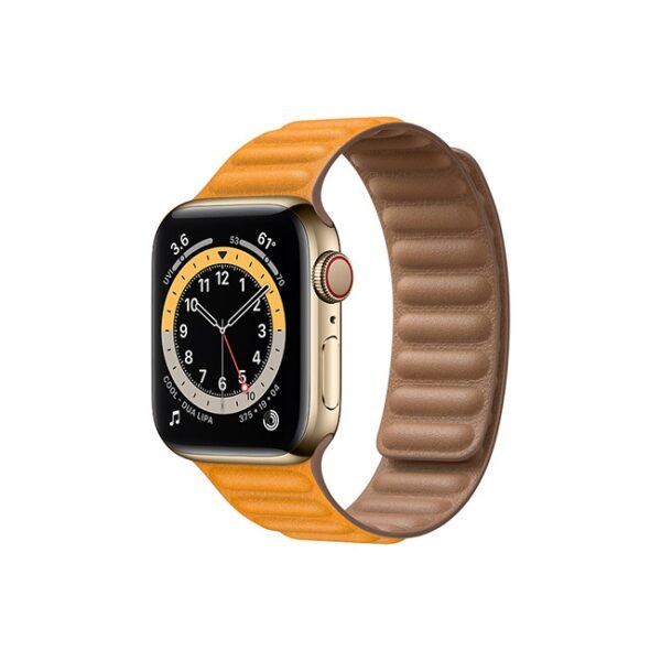 Apple Watch Series 6 42MM Gold Stainless Steel GPS Cellular Leather Link California Poppy