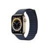 Apple Watch Series 6 42MM Gold Stainless Steel GPS Cellular Leather Loop diver blue