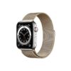 Apple Watch Series 6 42MM Silver Stainless Steel GPS Cellular Milanese Loop gold