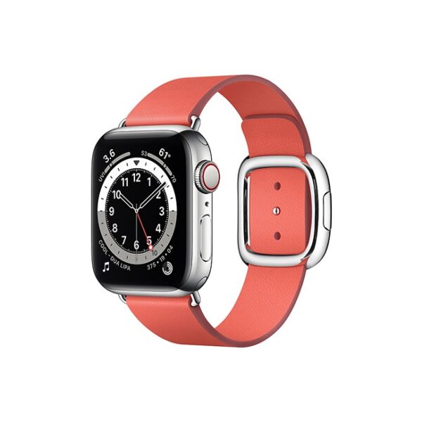 Apple Watch Series 6 42MM Silver Stainless Steel GPS Cellular Modern Buckle Pink citrus