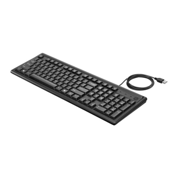 HP 100 Wired Keyboard 1