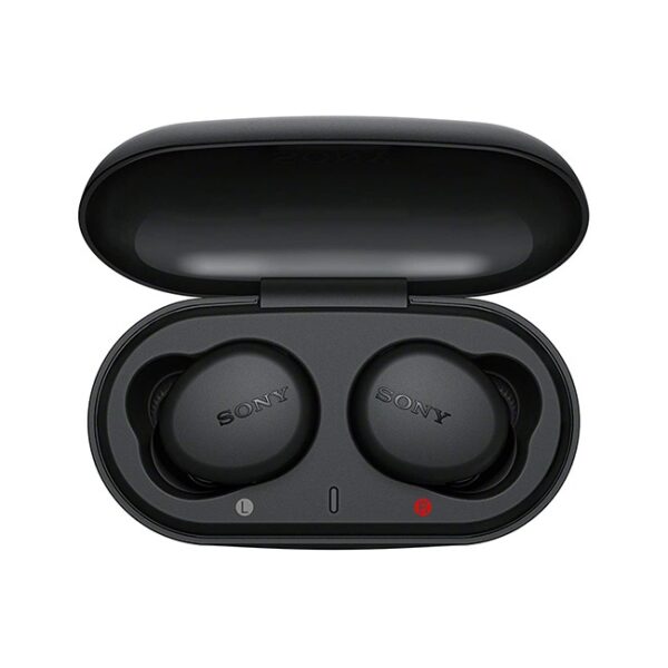 Sony WF XB700 EXTRA BASS True Wireless Earbuds 6