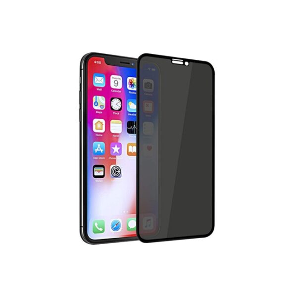 iPhone X Remax Emperor Series 9D Privacy Tempered Glass Screen Protector
