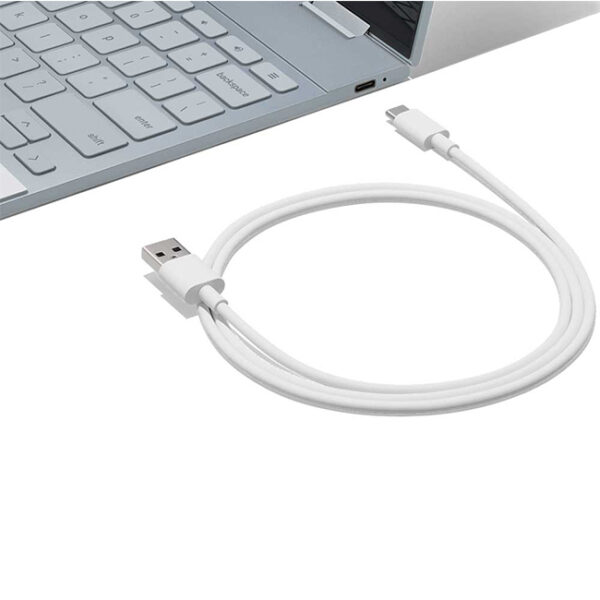 Google USB C to USB A Cable 1