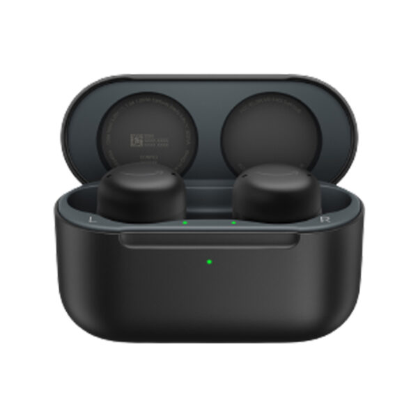 Amazon Echo Buds 1