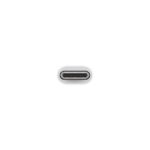 Apple USB C to USB Adapter 1