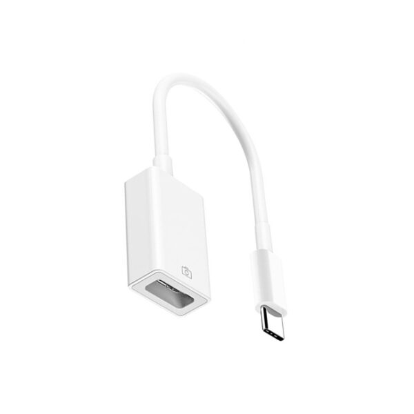 COTEetCI USB C To USB A Adapter 1