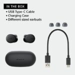 Sony WF XB700 EXTRA BASS True Wireless Earbuds 2
