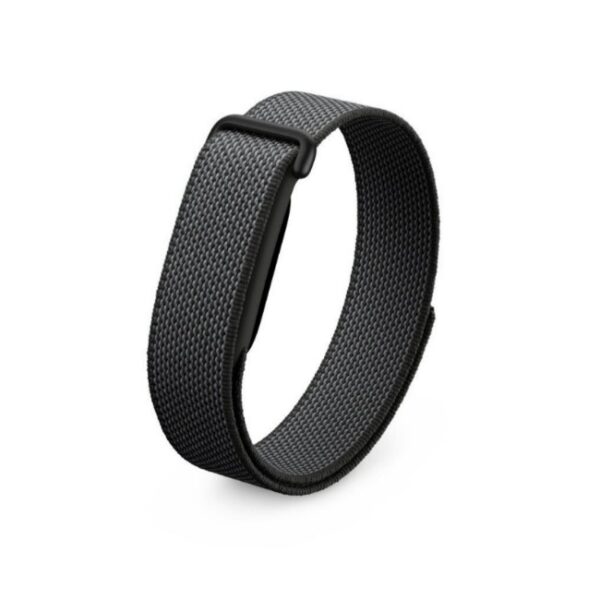 Google Fitbit Air.jpg