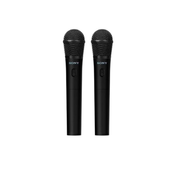 mic2.jpg