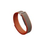 Fitbit 1 jpg