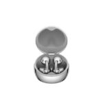 silver 1 jpg