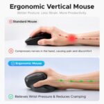Mouse2 jpg