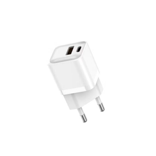 charger 2 jpg
